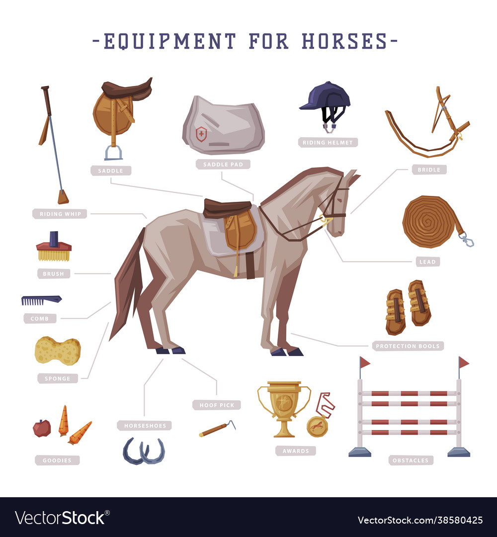 Equipment for horses set horse riding essentials Vector Image