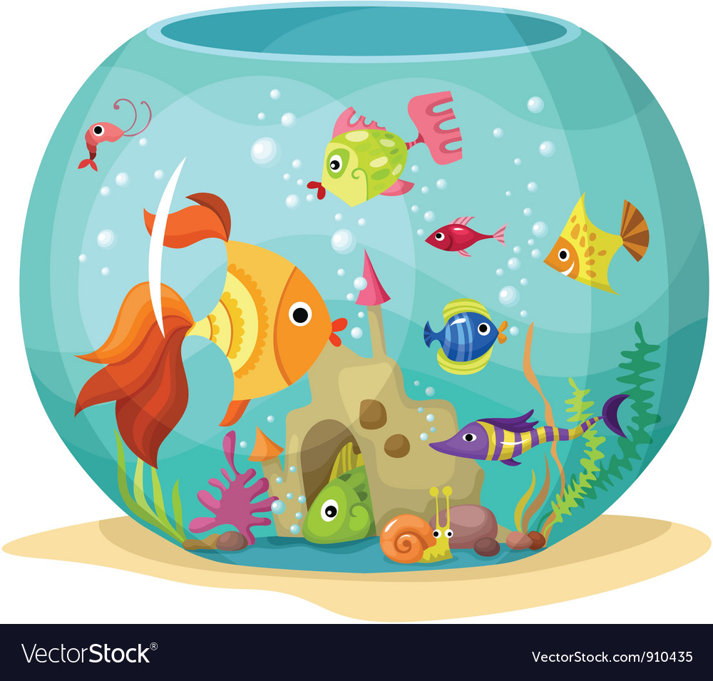 Download Aquarium Royalty Free Vector Image - VectorStock