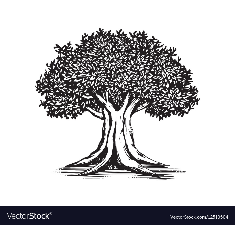 oak tree logos