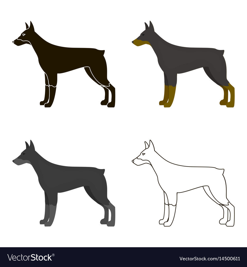 doberman icon in cartoon style for web vector image