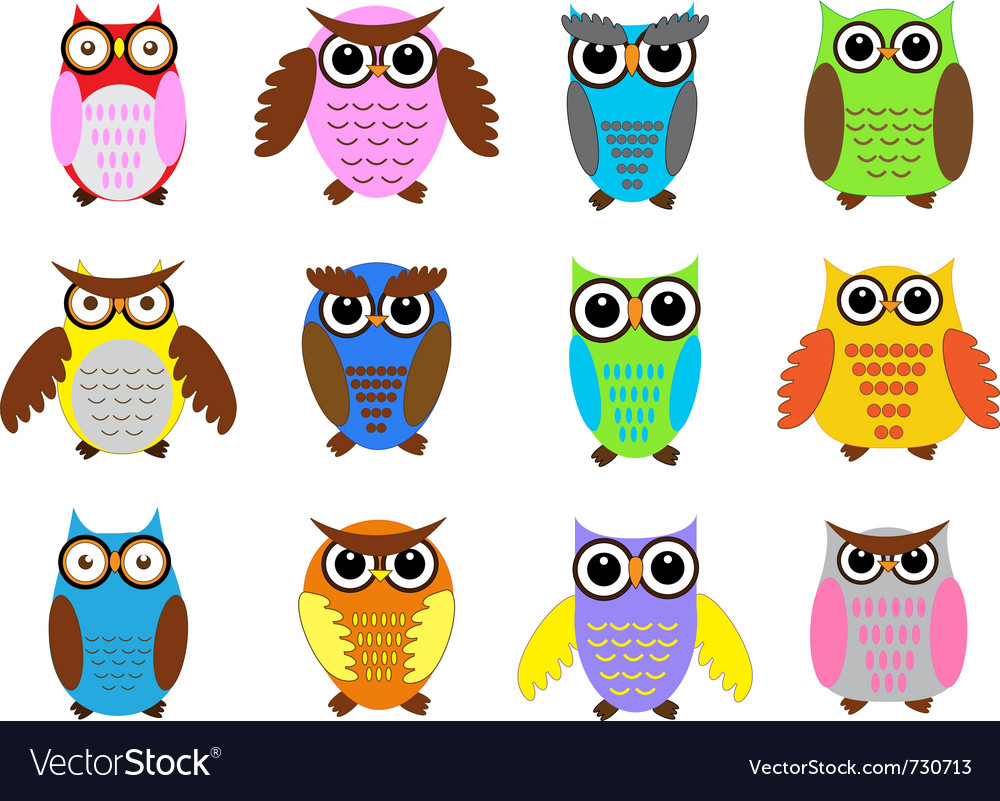 Color owls Royalty Free Vector Image VectorStock