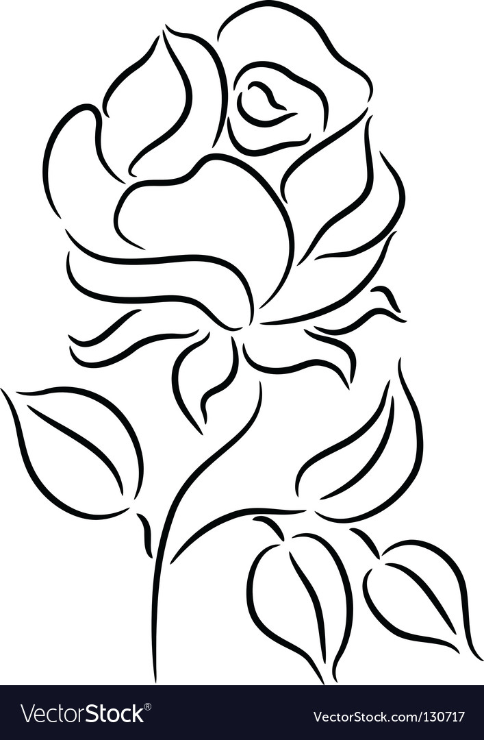 Rose Royalty Free Vector Image - VectorStock