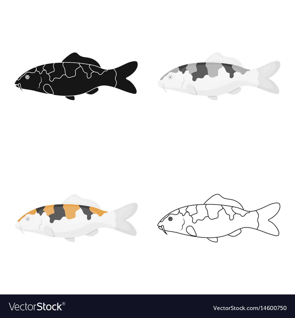 carp koi fish icon cartoon singe aquarium fish vector image