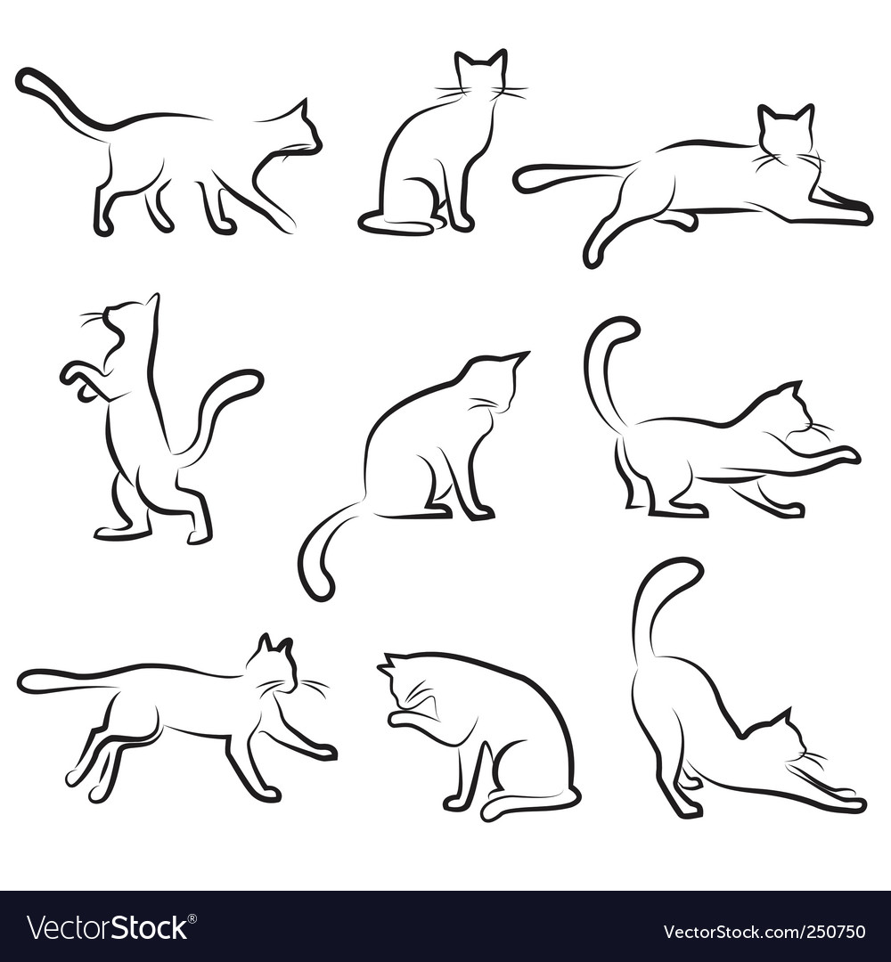 Cat drawing set Royalty Free Vector Image - VectorStock