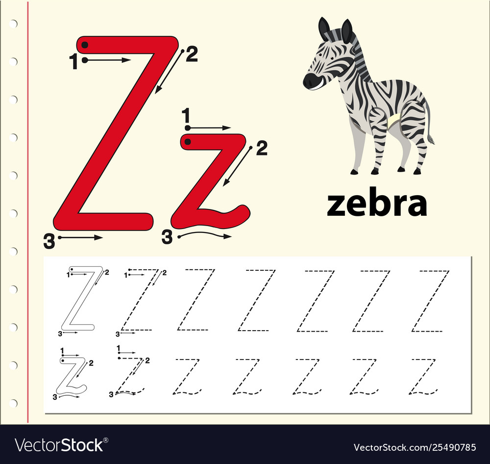 Letter Z Tracing Alphabet Worksheets Royalty Free Vector
