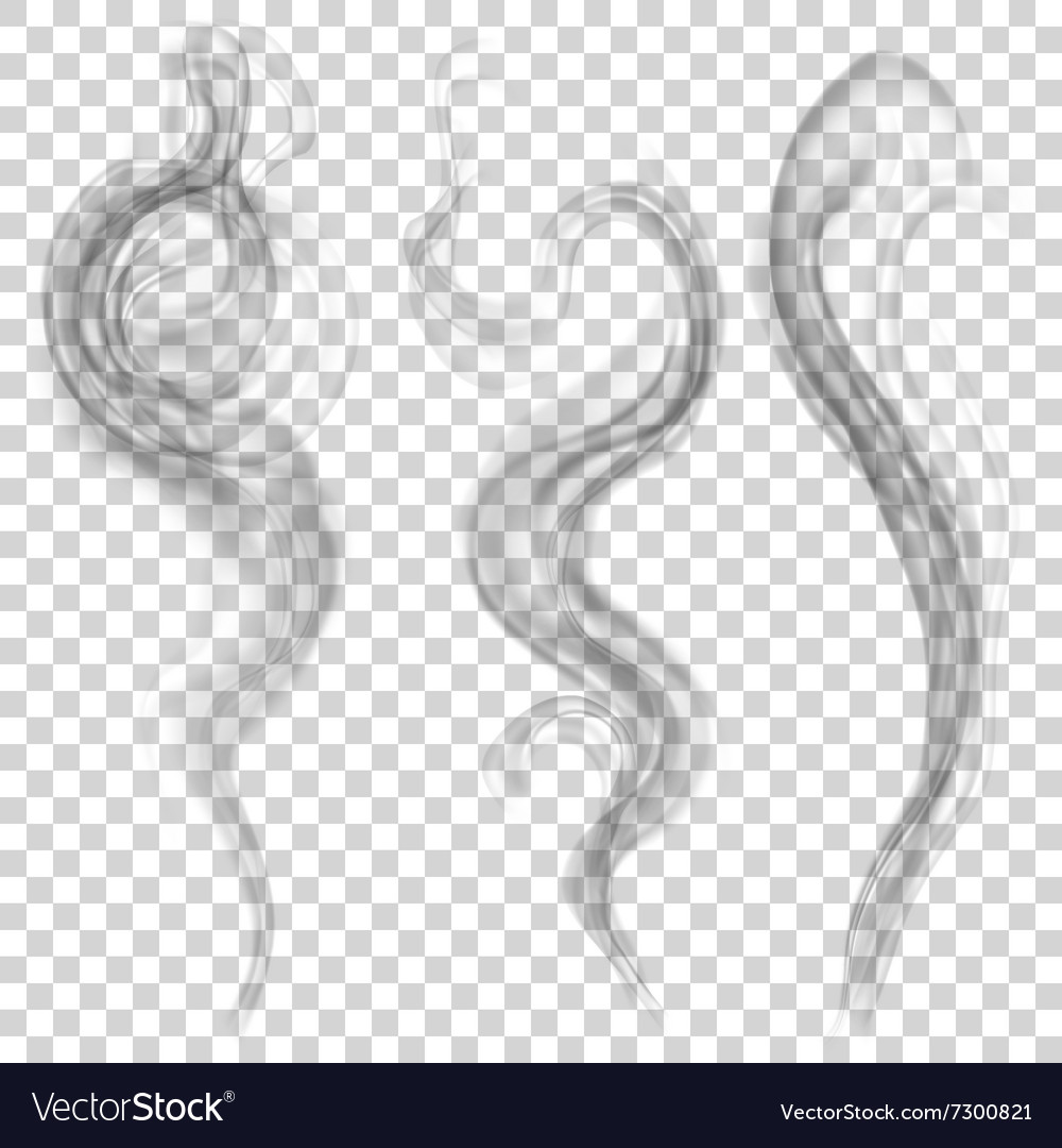 Gray smoke Royalty Free Vector Image - VectorStock