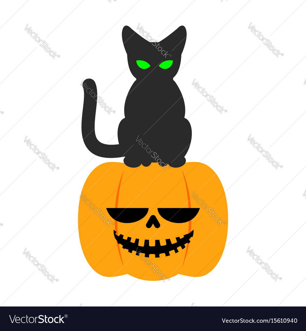 Uncategorized Halloween Symbol pumpkin and black cat halloween symbol terrible vector image image