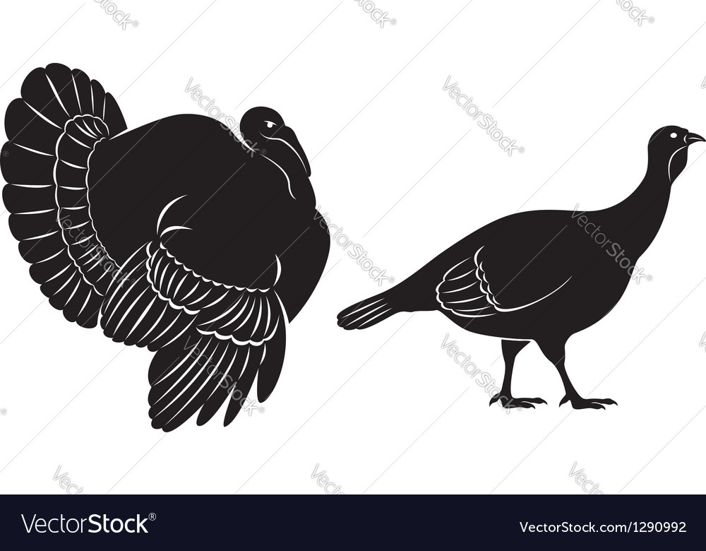 Download Bird turkey Royalty Free Vector Image - VectorStock