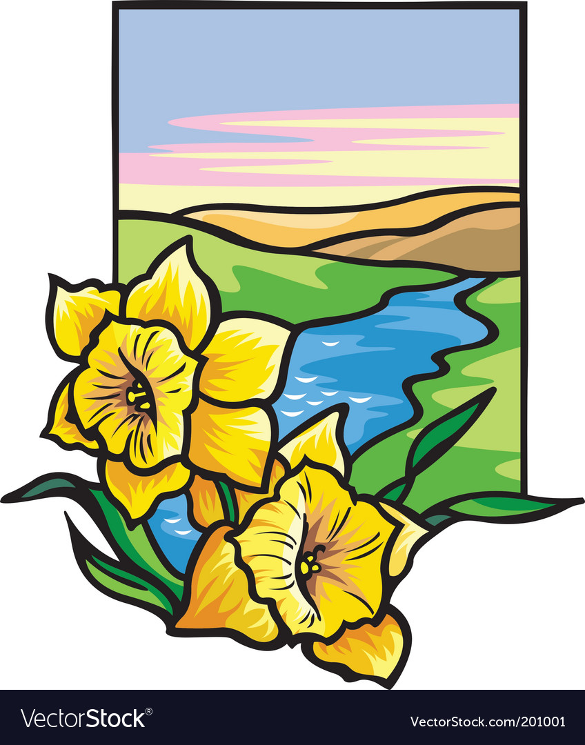 Download Narcissus flowers Royalty Free Vector Image - VectorStock