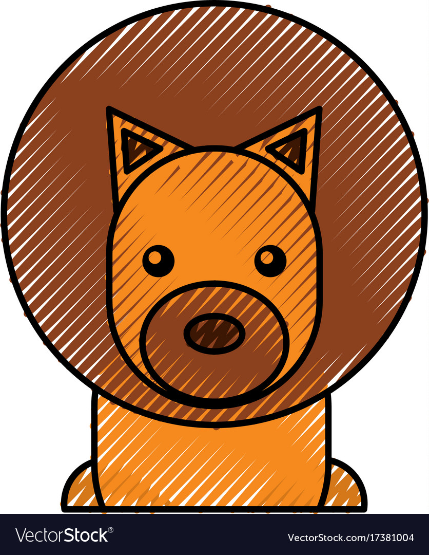 cute lion cartoon baby animal vector image