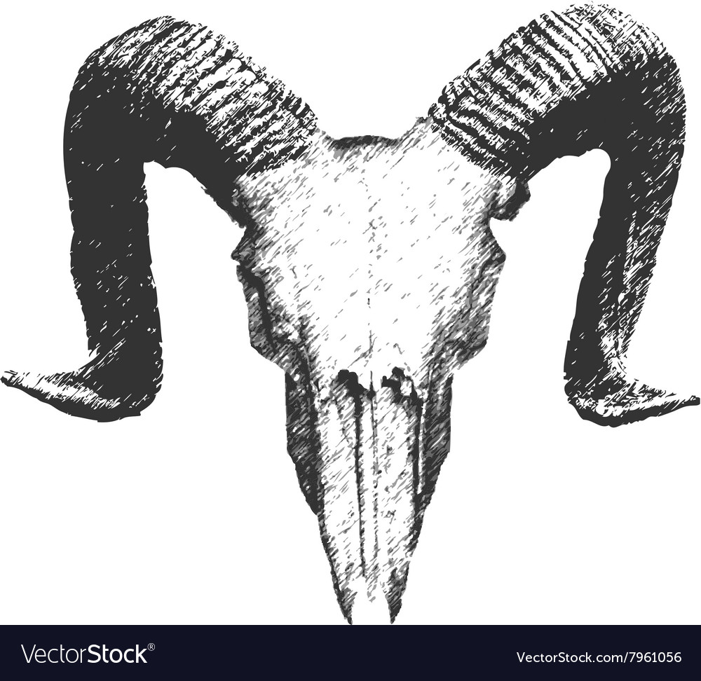 skull goat vector goat Vector Hand drawn Royalty Free Image skull skull goat vector goat Vector Hand drawn Royalty Free Image skull