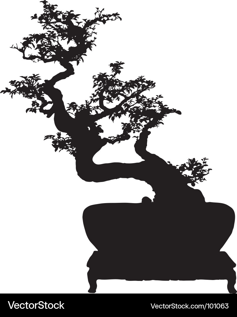 Bonsai Royalty Free Vector Image VectorStock