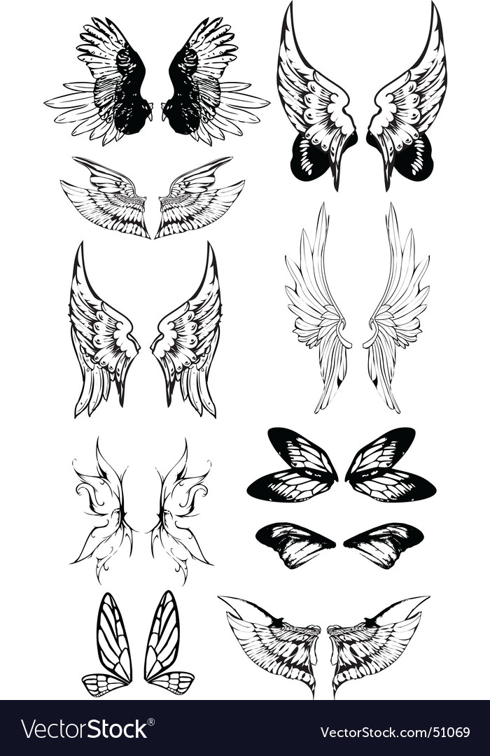 Wing tattoo set Royalty Free Vector Image - VectorStock