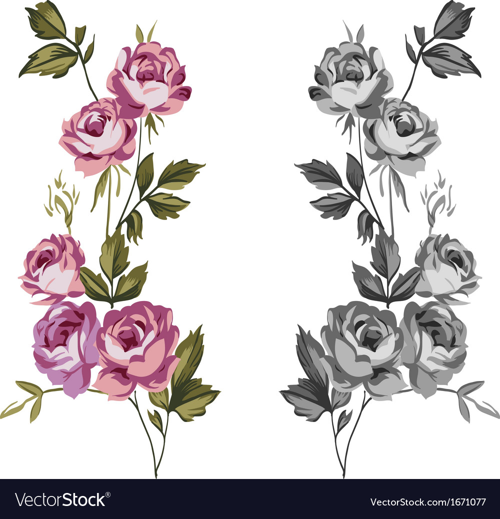 Vintage Roses Royalty Free Vector Image - VectorStock