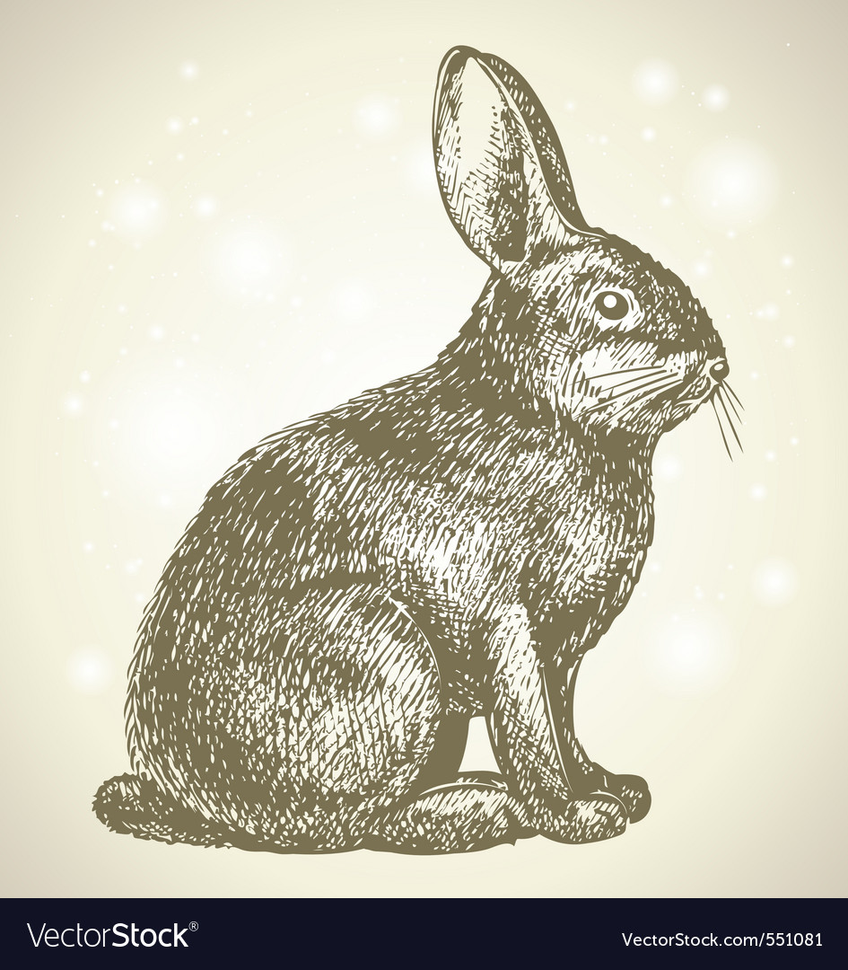 Free Free Bunny Sketch Svg 203 SVG PNG EPS DXF File