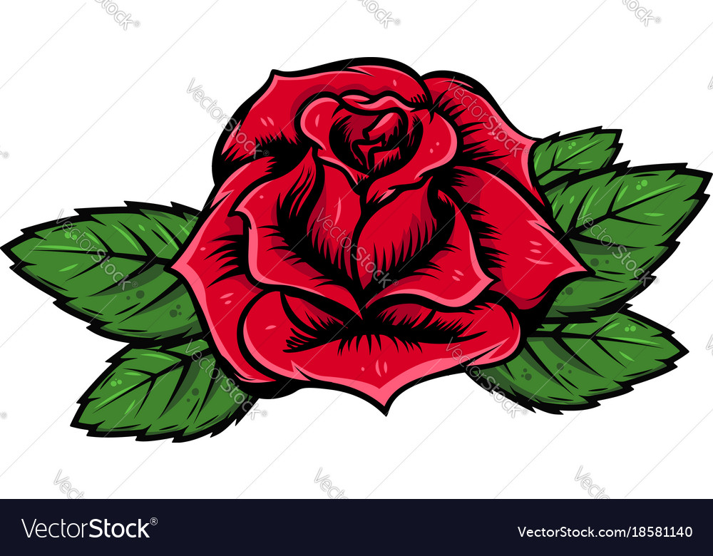 cartoon rose isolated on white background design vector image cartoon rose isolated on white background design vector image