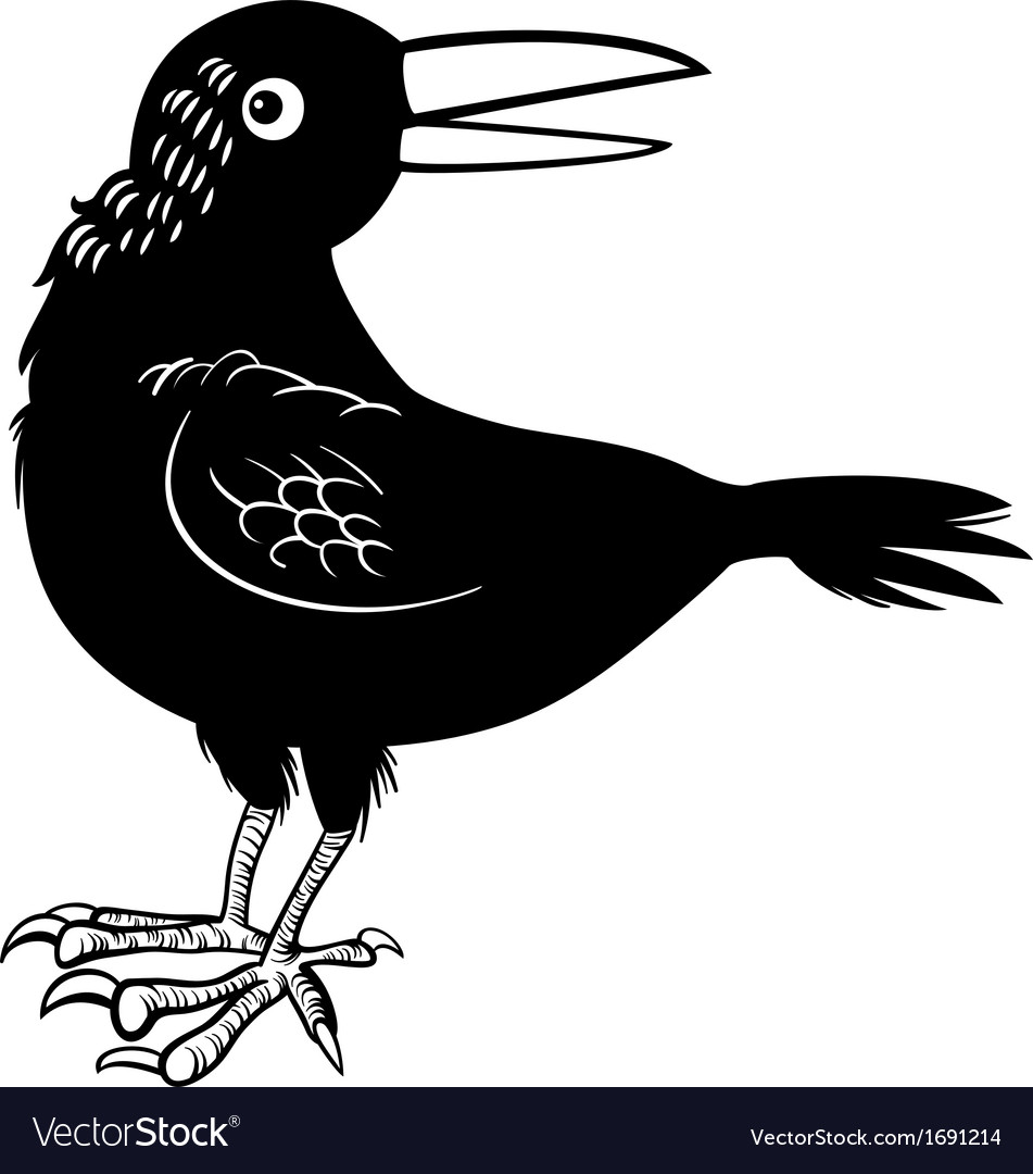 Crow or raven bird coloring page vector image