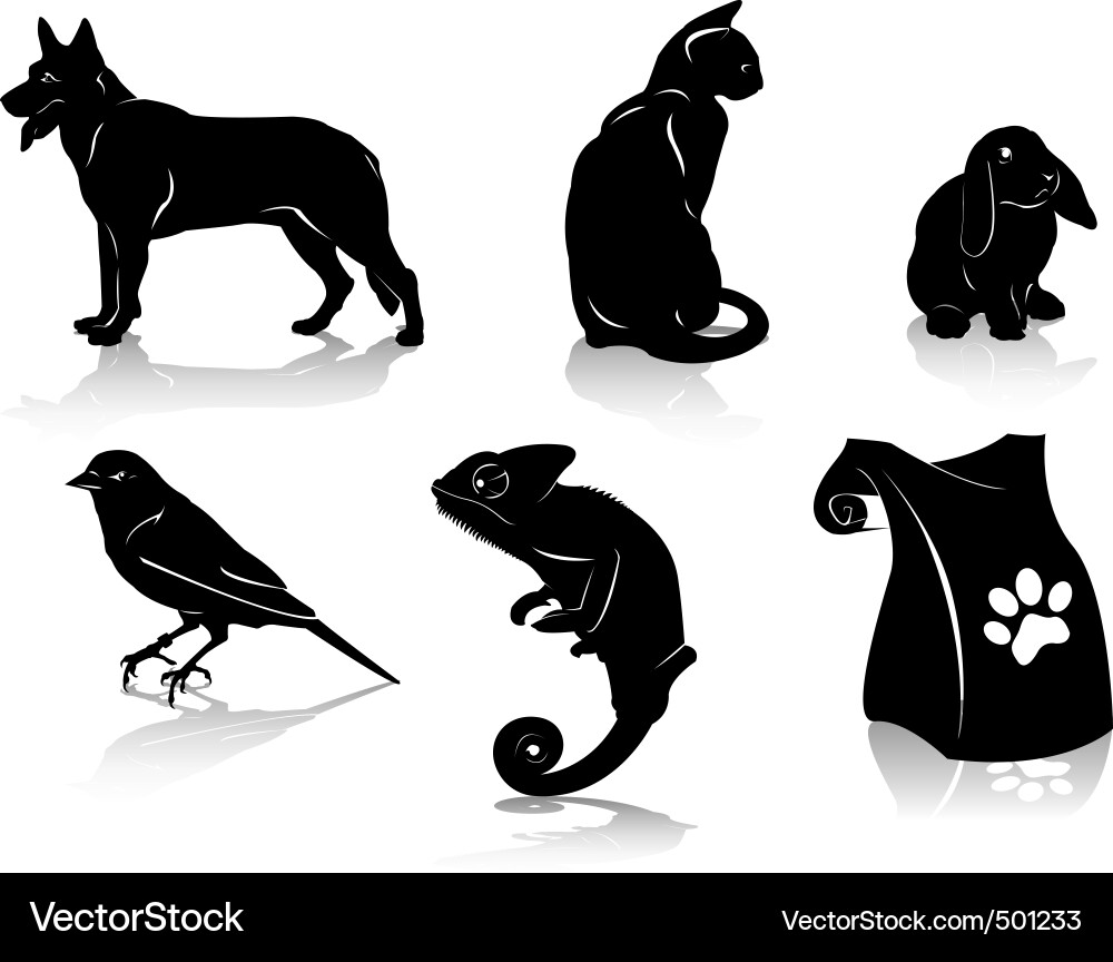 Pet Royalty Free Vector Image - VectorStock
