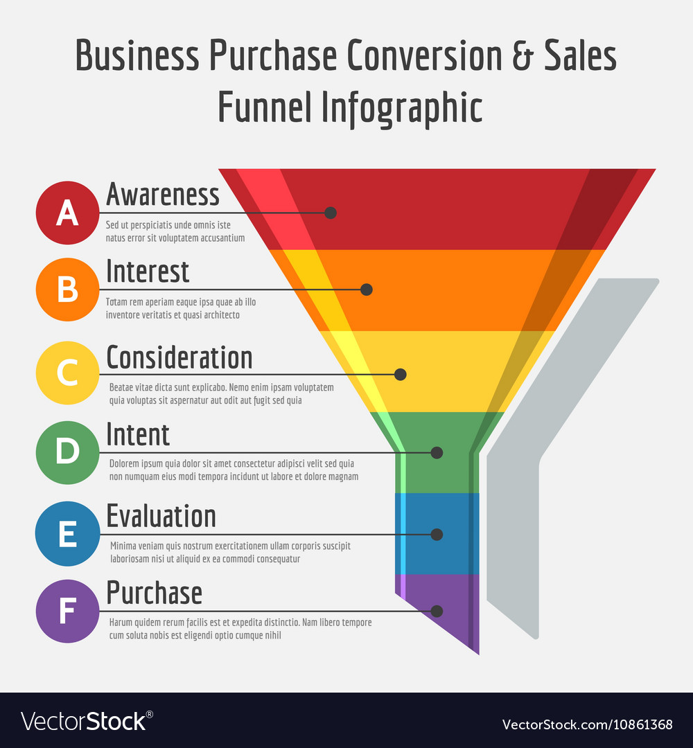 infographic vector