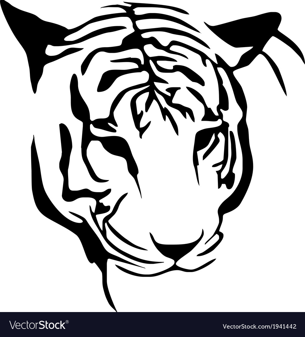 White Tiger Stencil Royalty Free Vector Image - VectorStock