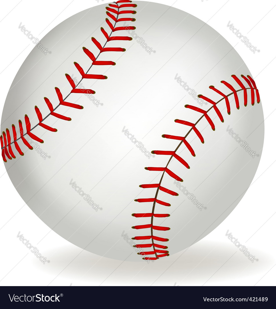 baseball vector