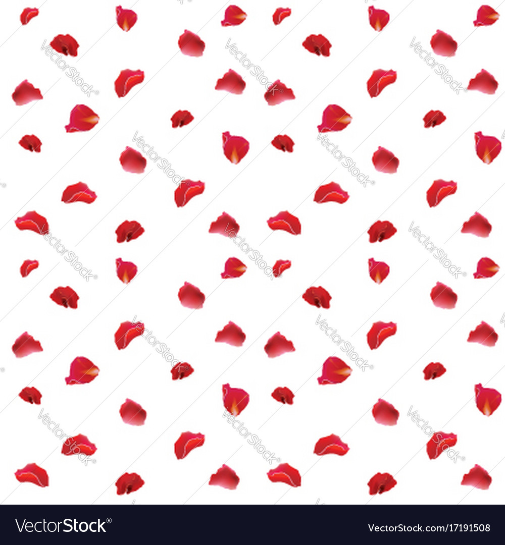 Red Rose Petals Pattern Fabric On White Background Red Rose Petals Pattern Fabric On White Background Vector Image