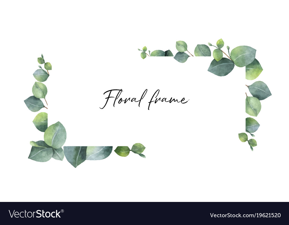 watercolor wreath with green eucalyptus vector 19621520