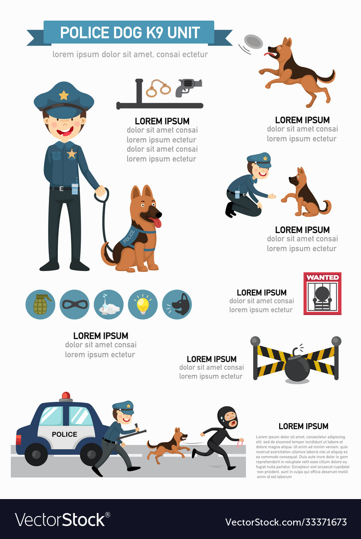 Police dog k9 unit infographic Royalty Free Vector Image