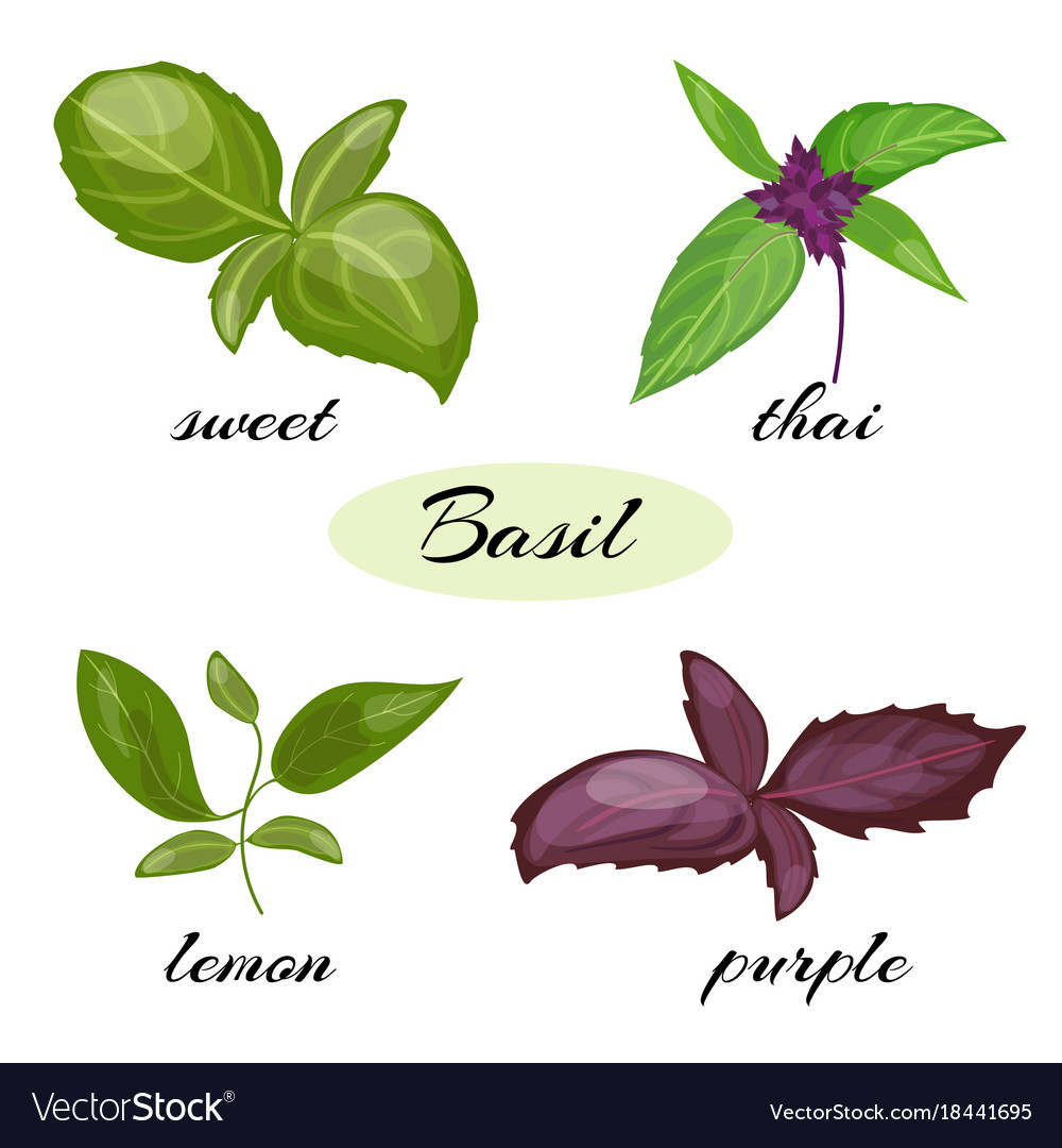 Different Types Of Media In Graphic Design Different Types Of Media In Graphic Design