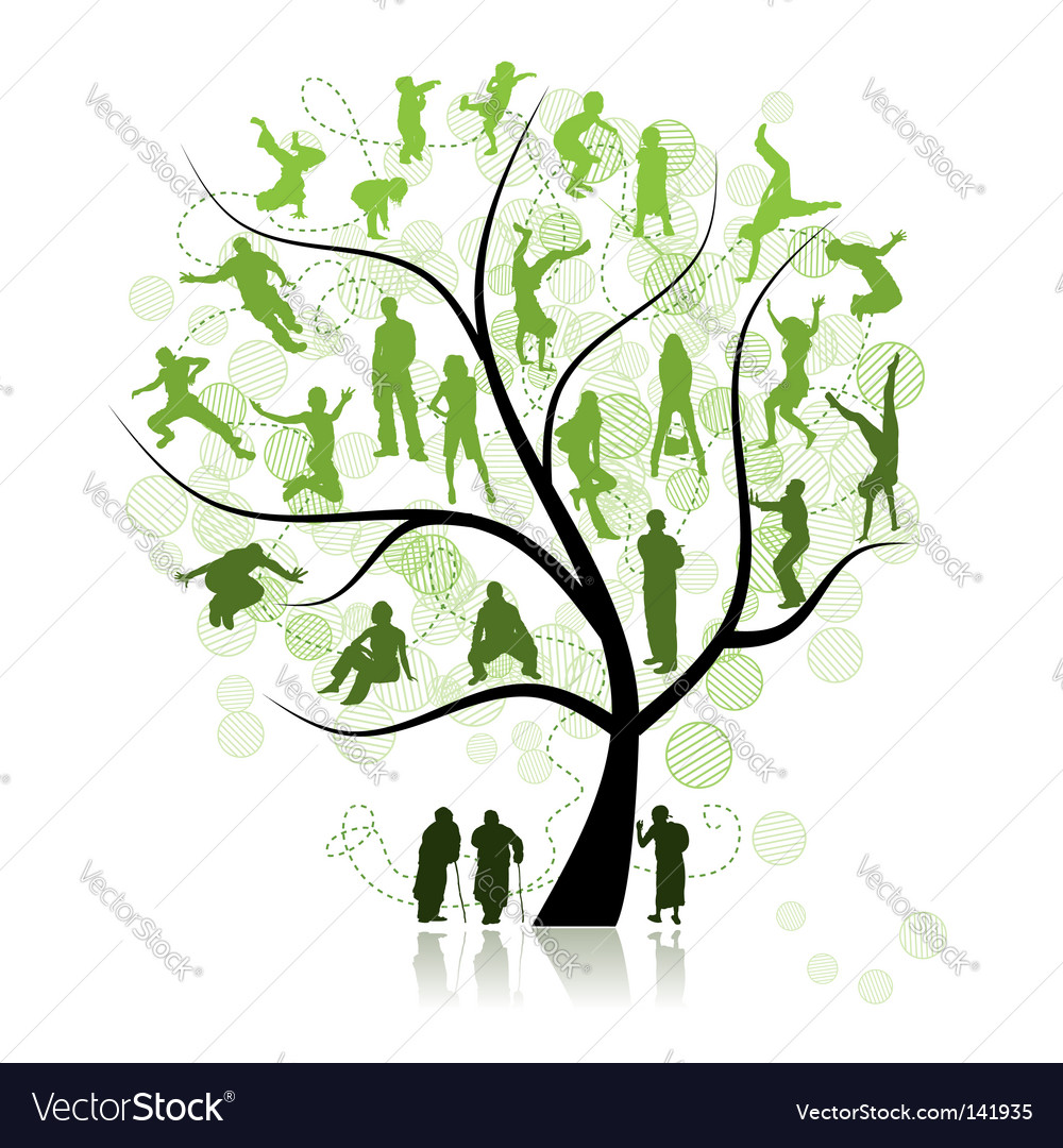 Family Tree Royalty Free Vector Image Vectorstock Vintage Family Tree Royalty Free Stock Images Image 32018779