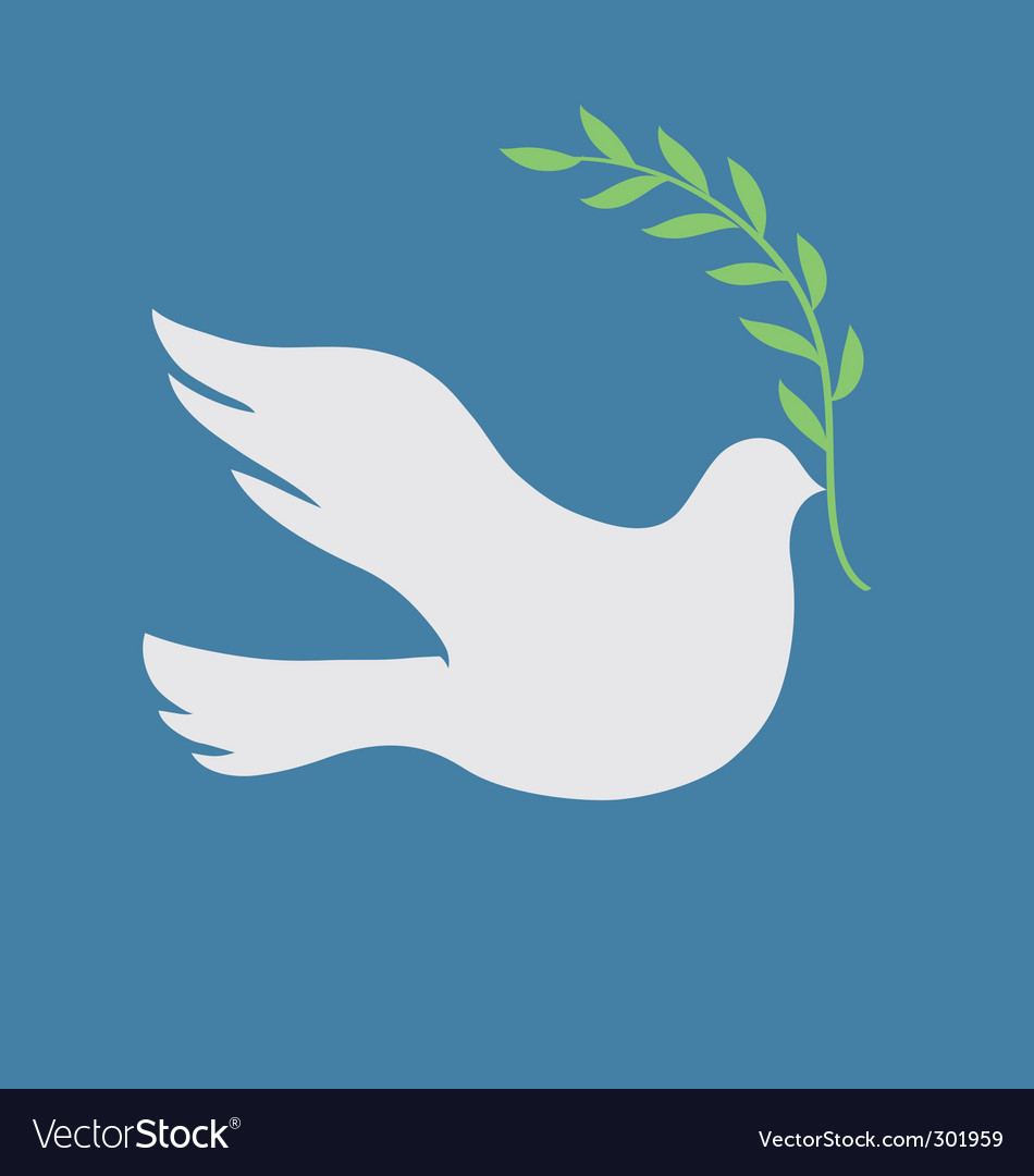 White dove Royalty Free Vector Image - VectorStock
