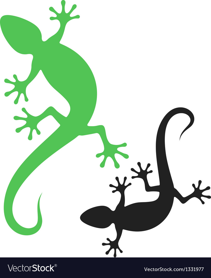 Lizard Royalty Free Vector Image - VectorStock