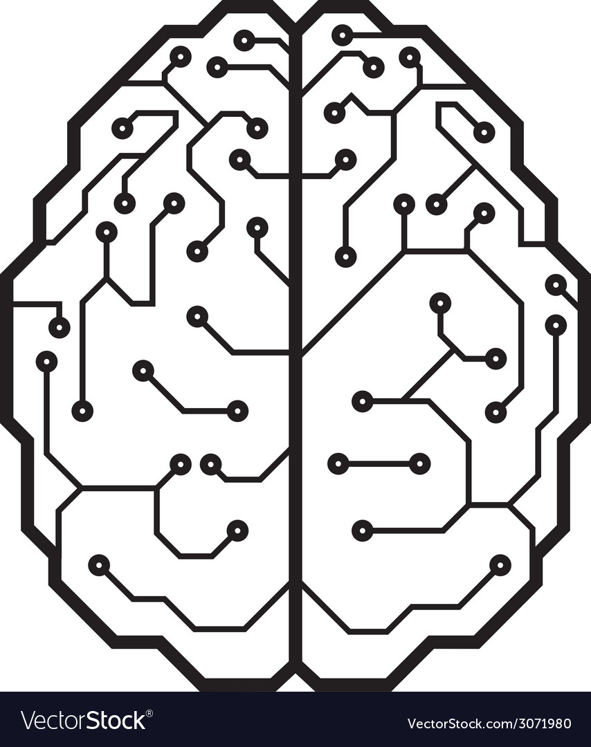 brain vector
