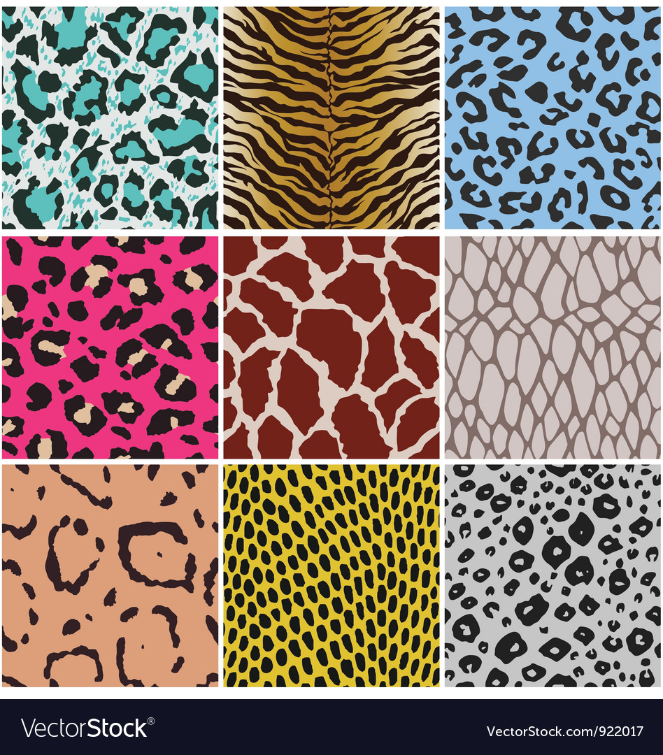 animal skin patterns stock photo images 20 829 animal skin patterns royalty free pictures and animal skin pattern royalty free vector image vectorstock animal skin patterns stock photo images 20 829 animal skin patterns royalty free pictures and animal skin pattern royalty free vector image vectorstock