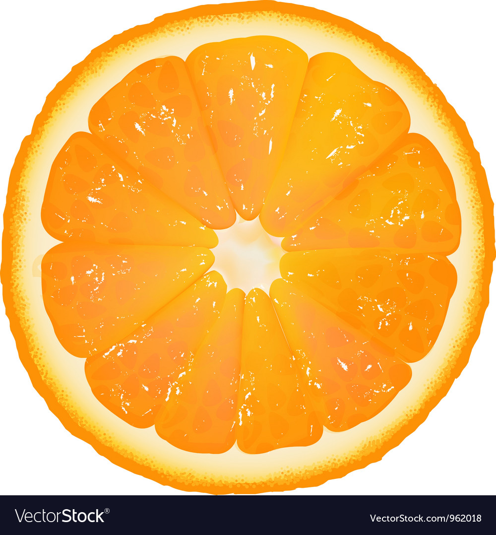 Orange Slice Background Royalty Free Vector Image