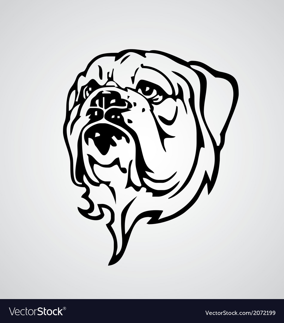 Bulldog Face Royalty Free Vector Image - VectorStock
