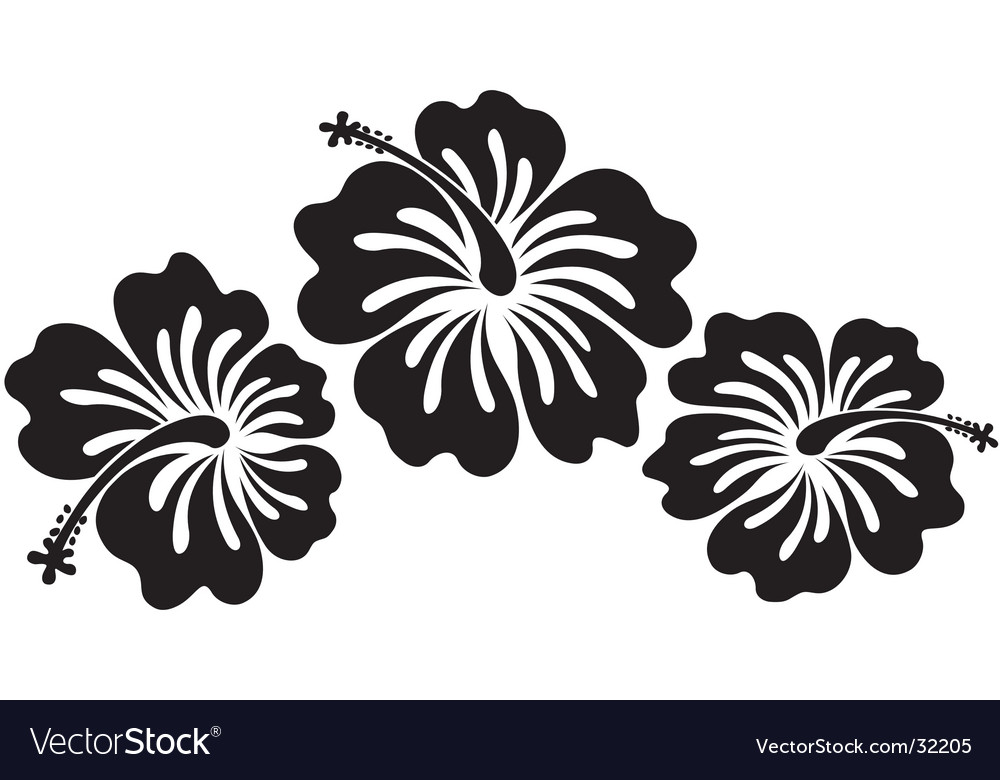 Honolulu flower Royalty Free Vector Image - VectorStock