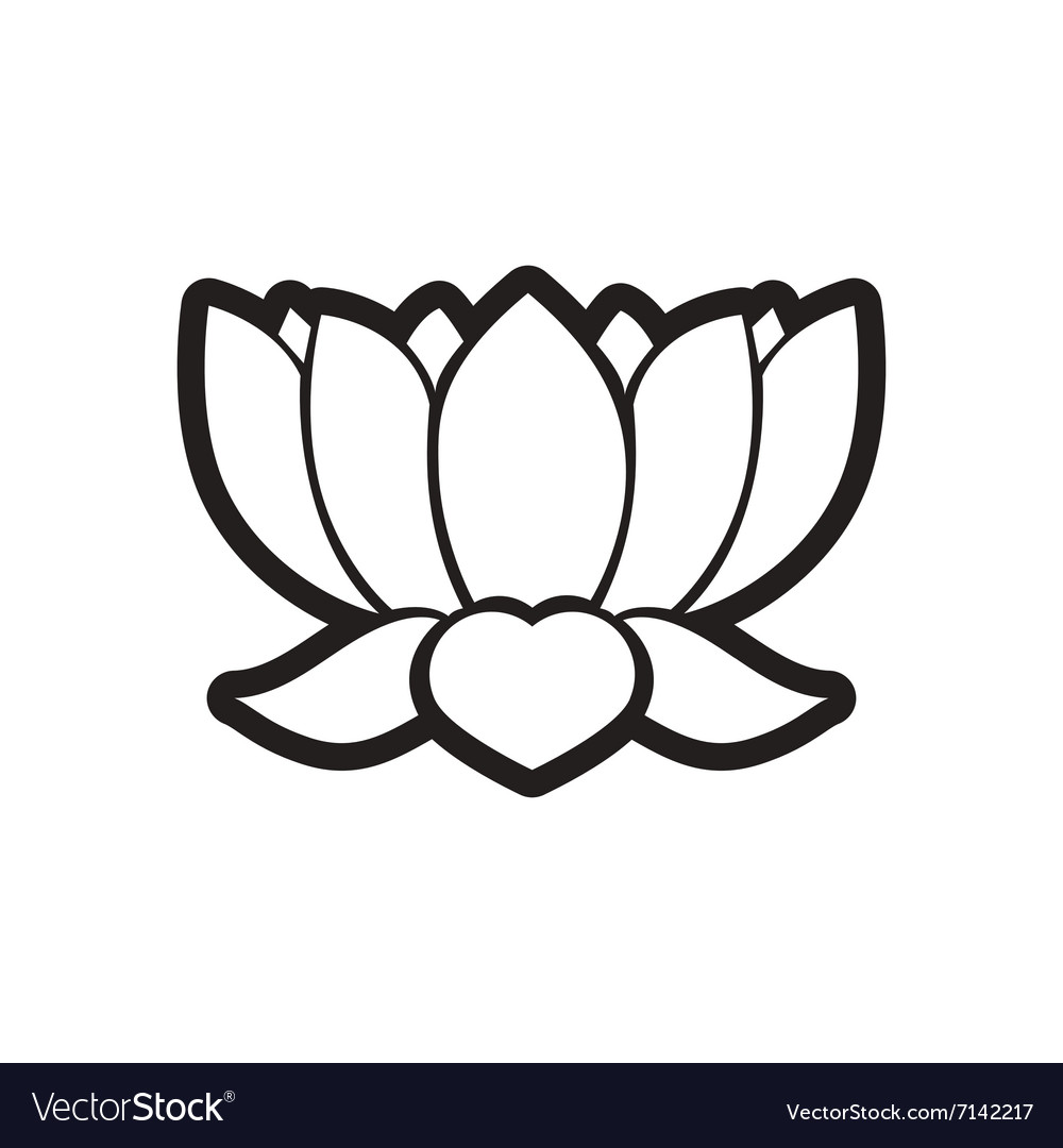 indian lotus flower - Stock Image - Everypixel