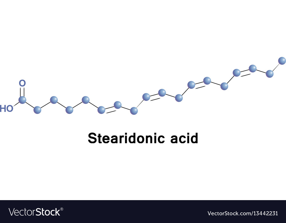 stearidonic acid