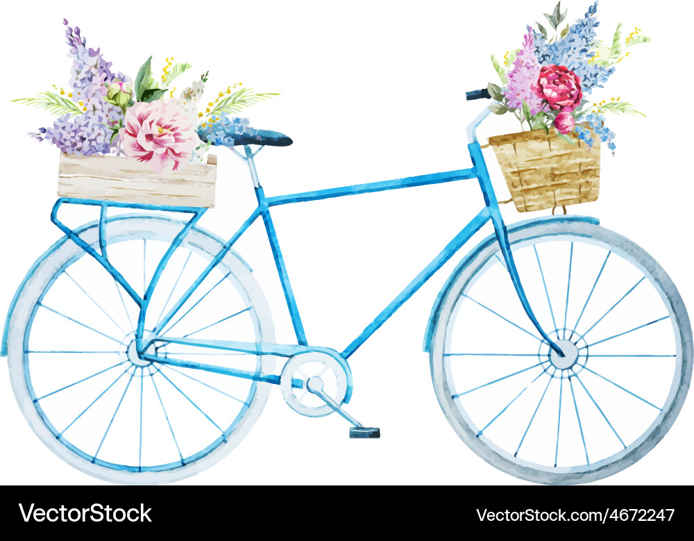 Watercolor bike bicycle Royalty Free Vector Image