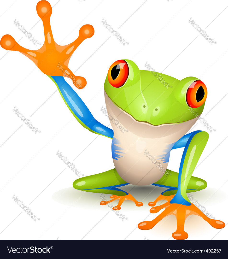 Tree frog Royalty Free Vector Image - VectorStock