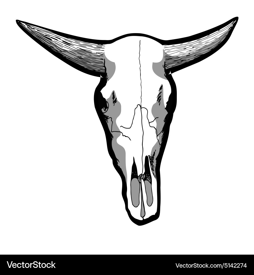 Cow Skull Royalty Free Vector Image VectorStock