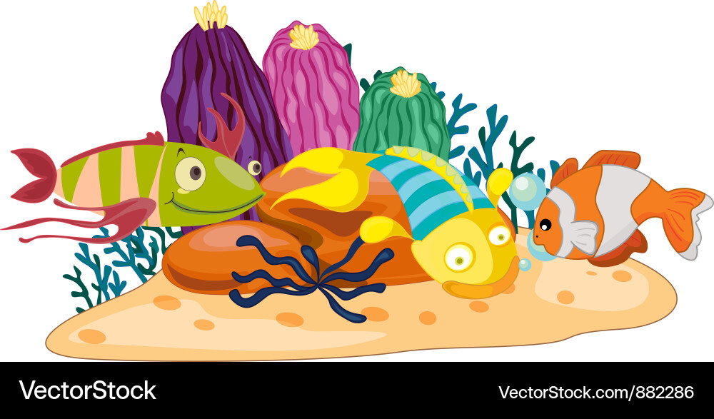 Coral reef fish Royalty Free Vector Image - VectorStock