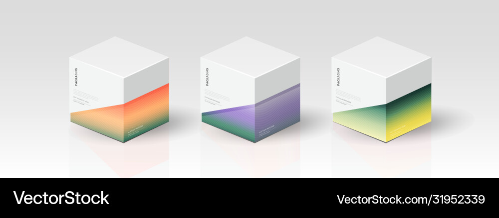 Box packaging template for product design Vector Image