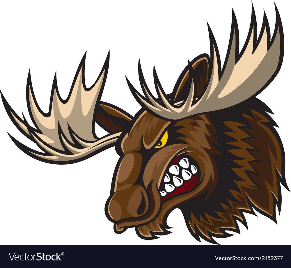 angry moose head royalty free vector image vectorstock angry moose head royalty free vector image vectorstock