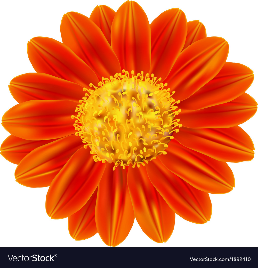 Free Free 155 Sunflower Weed Svg Free SVG PNG EPS DXF File