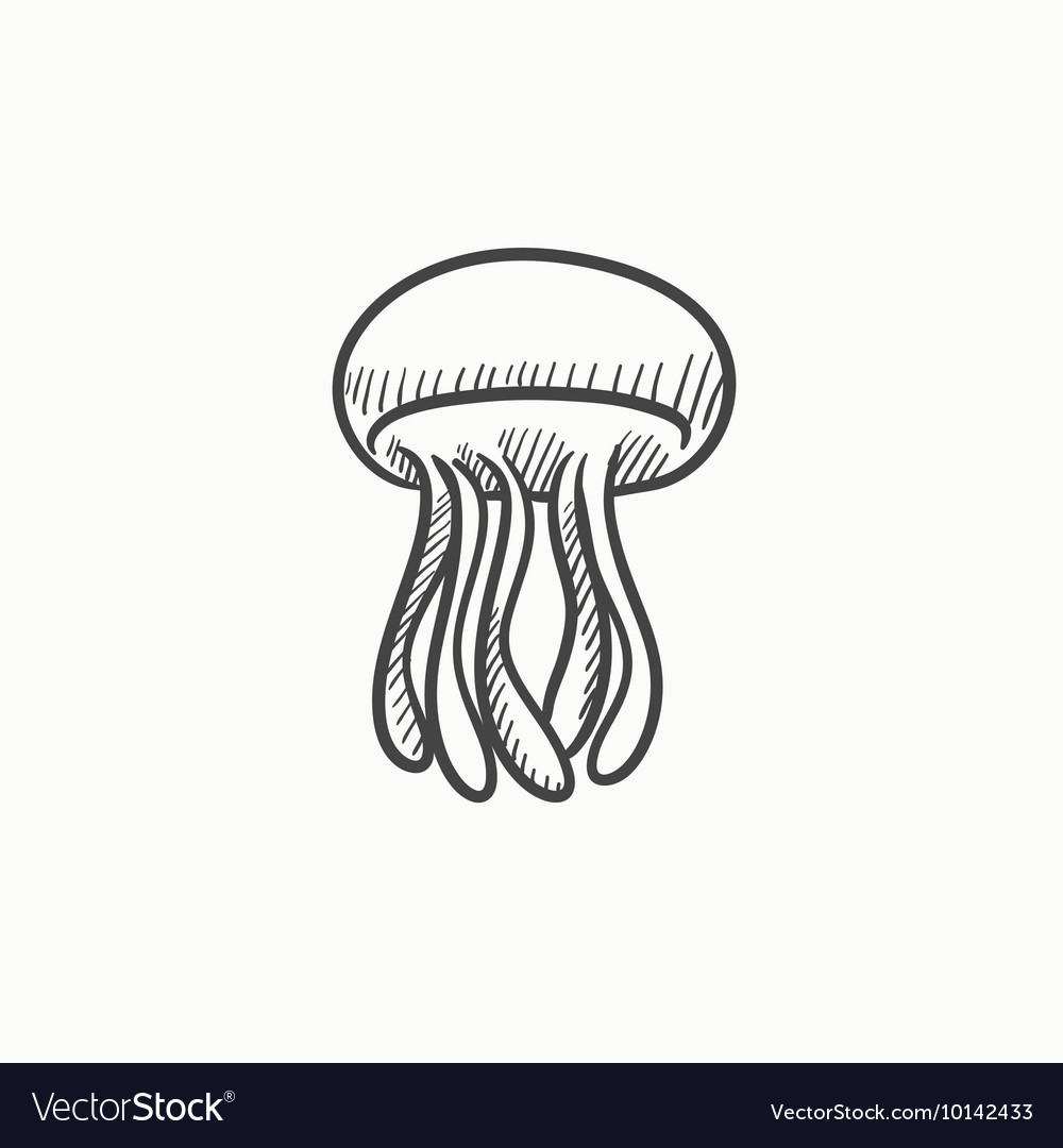 jellyfish sketch icon vector image