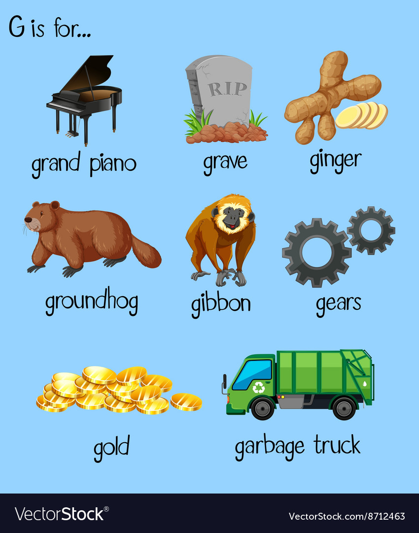 Many words for alphabet G Royalty Free Vector Image