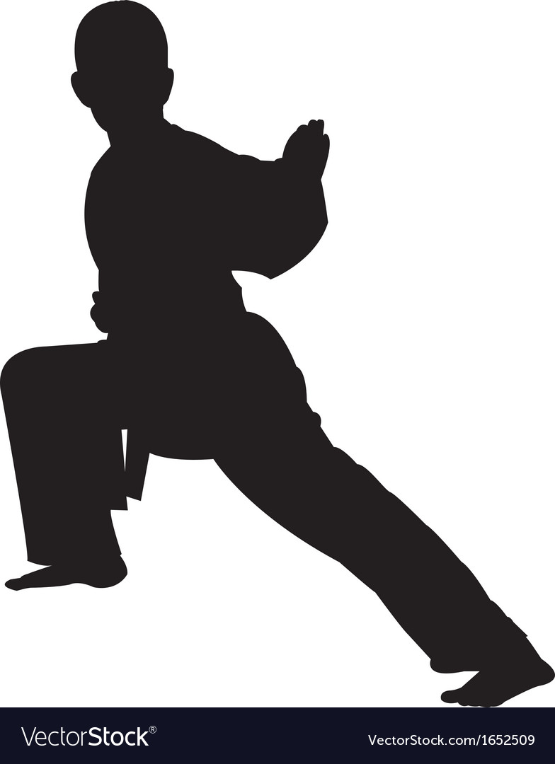 Karate boy silhouette Royalty Free Vector Image
