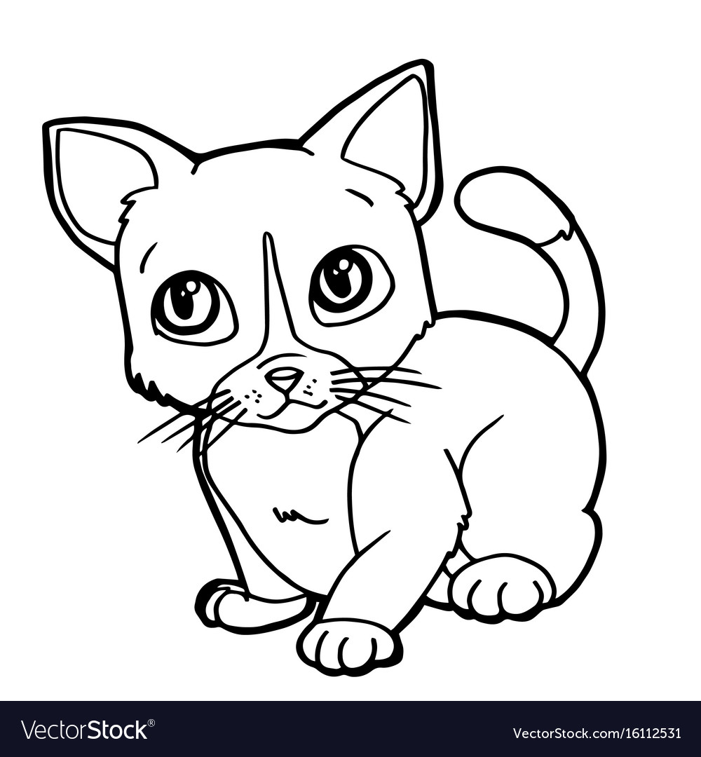 cartoon cute cat coloring page vector image